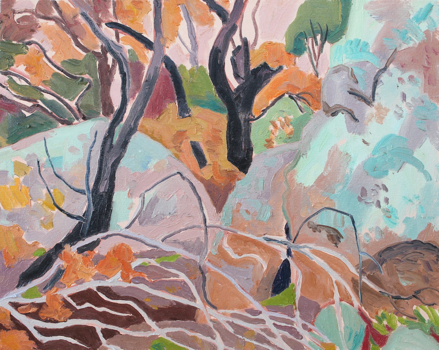 View works from Forest (mostly the surrounds of Castlemaine)